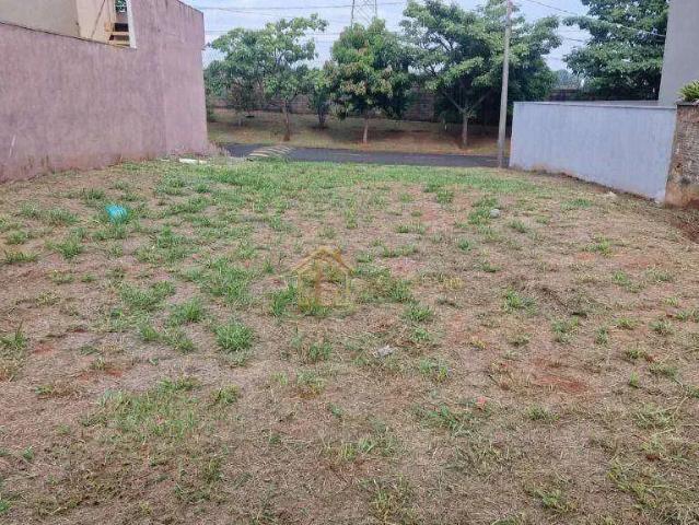 Terreno venda em São José do Rio Preto