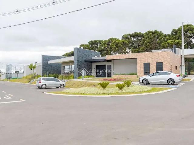 Terreno venda em Região Geográfica Imediata de Curitiba, Região Metropolitana de Curitiba