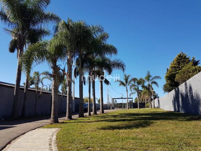 Terreno venda em Região Geográfica Imediata de Curitiba, Região Metropolitana de Curitiba