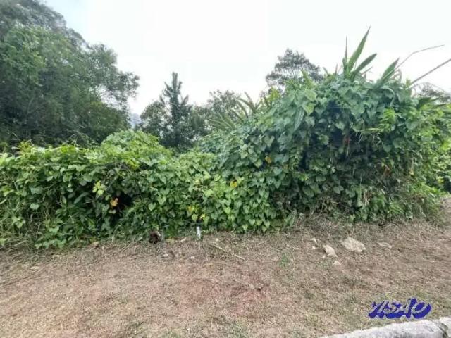 Terreno venda em Região Geográfica Imediata de Florianópolis, São José