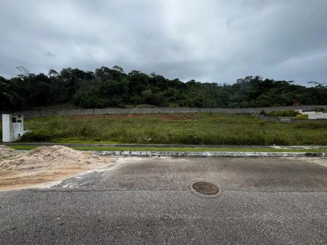 Terreno venda em São Miguel dos Milagres