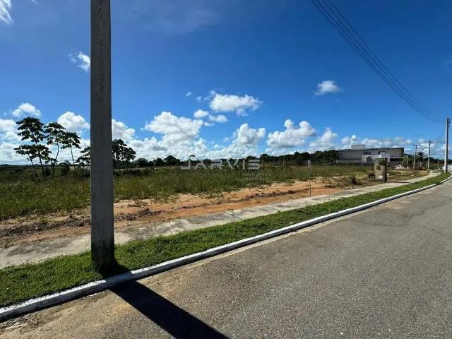 Terreno venda em São Miguel dos Milagres