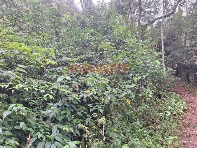 Terreno venda em Parque Friburgo, Mairiporã
