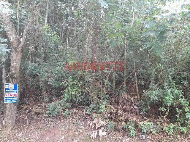 Terreno venda em Jardim Peri, São Paulo