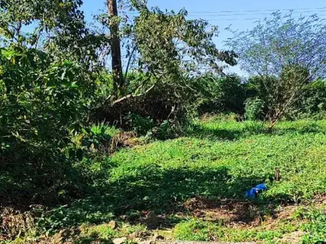 Terreno venda em Região Imediata de Caraguatatuba-Ubatuba-São Sebastião, Região Metropolitana do Vale do Paraíba e Litoral Norte