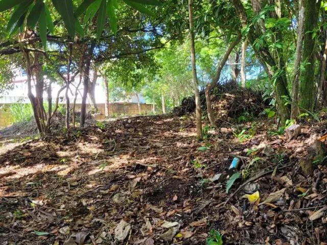 Terreno venda em Região Geográfica Imediata de Salvador, Região Metropolitana de Salvador