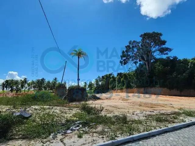 Terreno venda em Região Geográfica Imediata de Eunápolis - Porto Seguro, Santa Cruz Cabrália