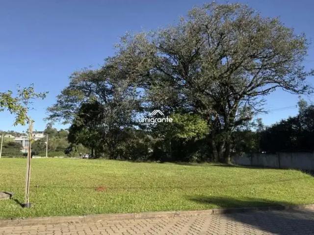 Terreno venda em Santa Cruz do Sul, Região Geográfica Intermediária de Santa Cruz do Sul - Lajeado