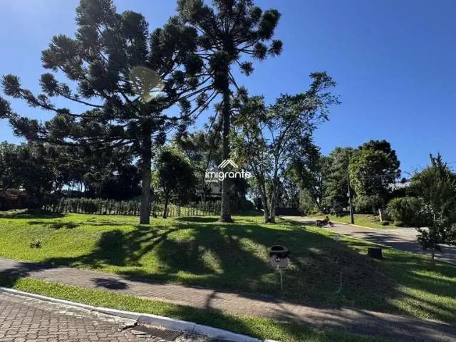 Terreno venda em Santa Cruz do Sul, Região Geográfica Intermediária de Santa Cruz do Sul - Lajeado