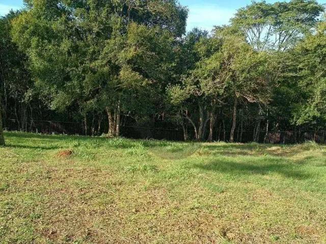 Terreno venda em Região Geográfica Imediata de Santa Cruz do Sul, Santa Cruz do Sul