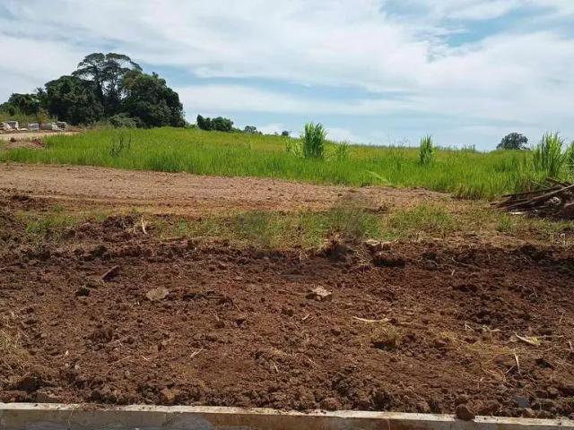 Terreno venda em Região Geográfica Imediata de Santa Cruz do Sul, Santa Cruz do Sul