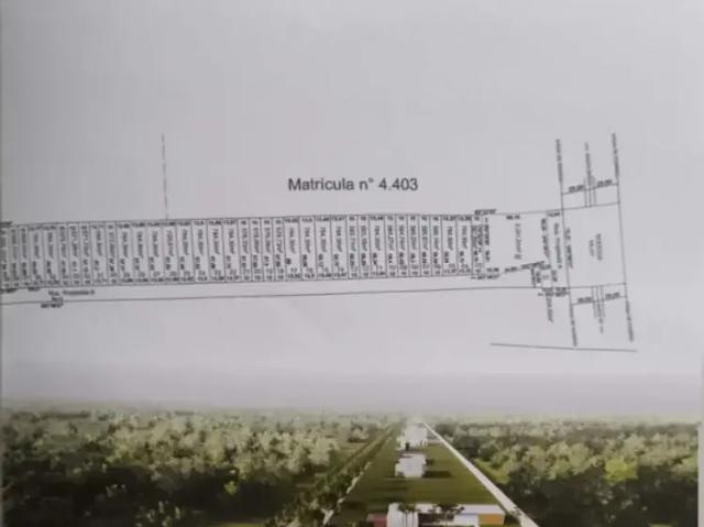 Terreno venda em Região Geográfica Imediata de Maringá, Santa Fé