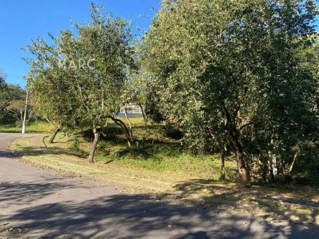 Terreno venda em Santa Isabel