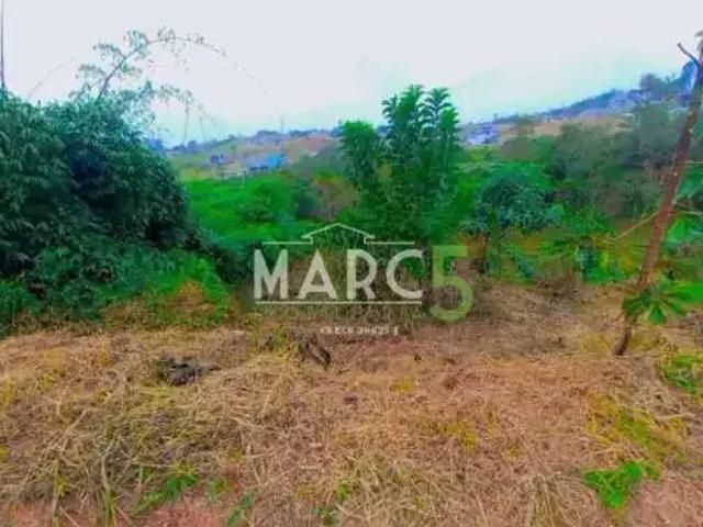 Terreno venda em Santa Isabel
