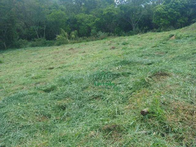 Terreno venda em Santa Isabel