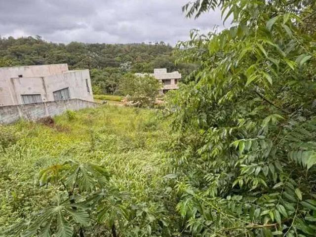 Terreno venda em Santa Isabel