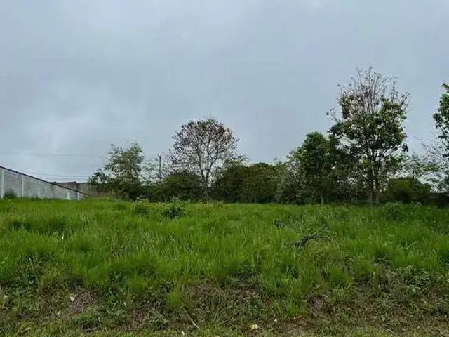 Terreno venda em Santa Isabel