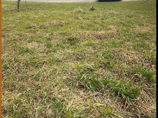 Terreno venda em Santa Isabel