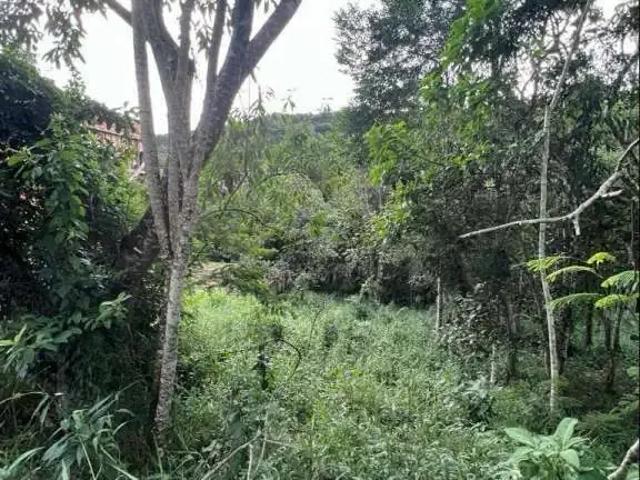 Terreno venda em Santa Isabel