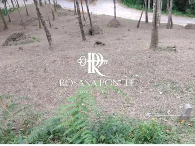 Terreno venda em Região Geográfica Imediata de Florianópolis, Santo Amaro da Imperatriz