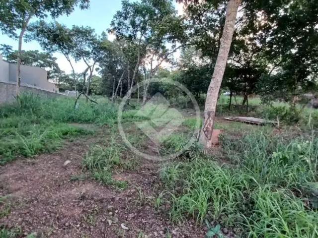 Terreno venda em Região Geográfica Imediata de Goiânia, Senador Canedo