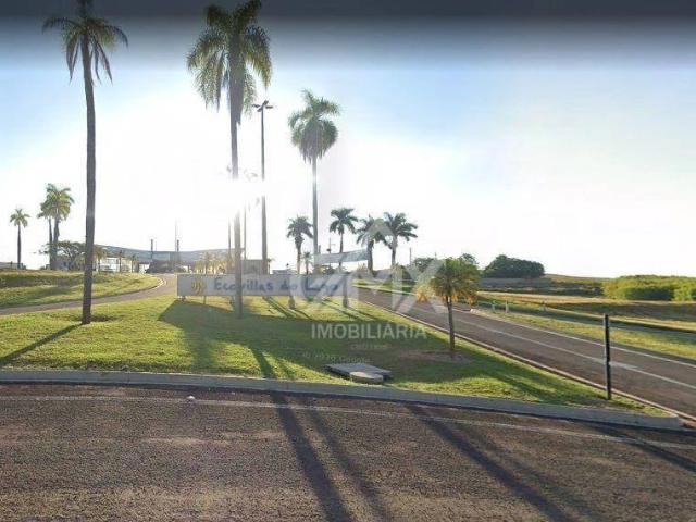 Terreno venda em Sertanópolis, Região Geográfica Intermediária de Londrina