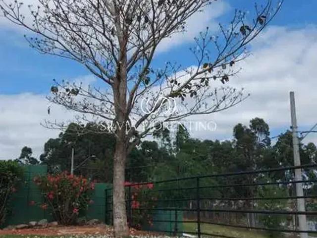 Terreno venda em Região Imediata de Taubaté-Pindamonhangaba, Região Metropolitana do Vale do Paraíba e Litoral Norte