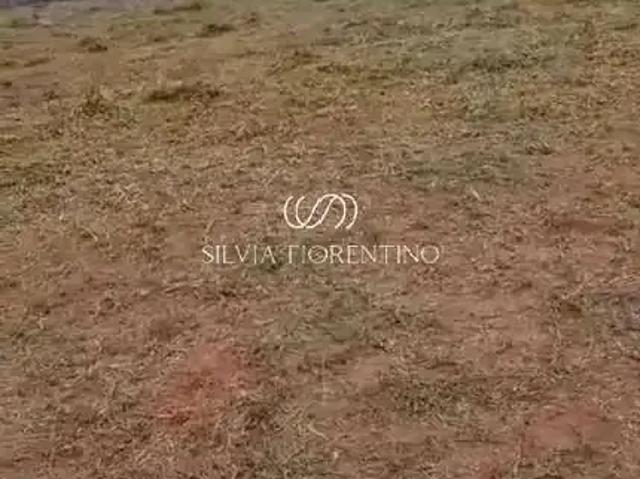 Terreno venda em Região Imediata de Taubaté-Pindamonhangaba, Região Metropolitana do Vale do Paraíba e Litoral Norte