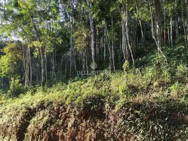 Terreno venda em Região Geográfica Imediata de Petrópolis, Teresópolis