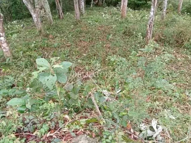 Terreno venda em Região Geográfica Imediata de Petrópolis, Teresópolis