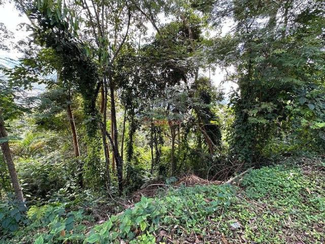 Terreno venda em Região Geográfica Imediata de Petrópolis, Teresópolis