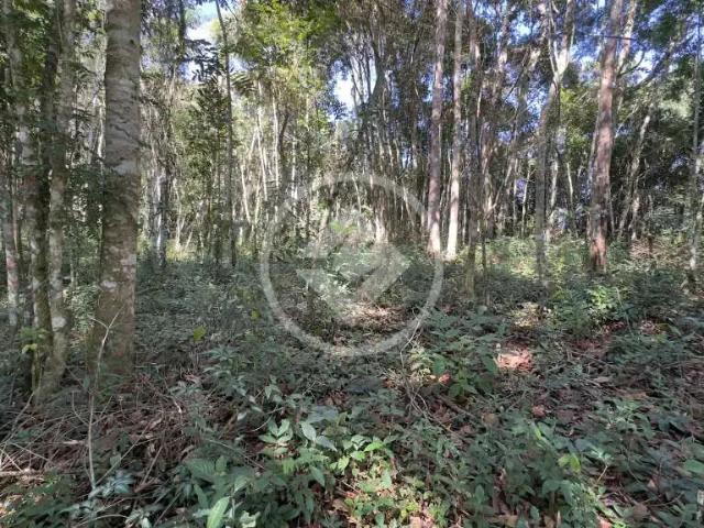 Terreno venda em Região Geográfica Imediata de Petrópolis, Teresópolis