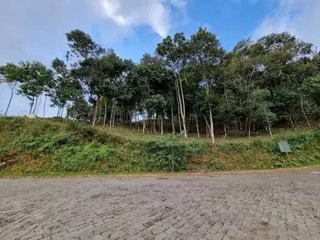 Terreno venda em Região Geográfica Imediata de Petrópolis, Teresópolis