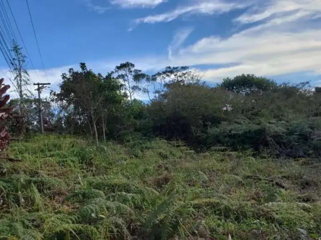 Terreno venda em Vale de Bonsucesso, Teresópolis
