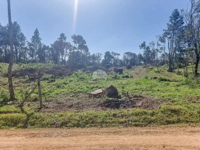Terreno venda em Tijucas do Sul, Região Geográfica Intermediária de Curitiba