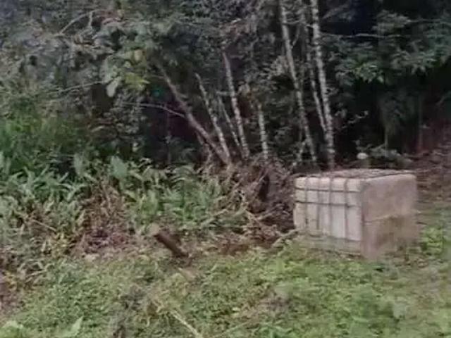 Terreno venda em Região Imediata de Caraguatatuba-Ubatuba-São Sebastião, Região Metropolitana do Vale do Paraíba e Litoral Norte