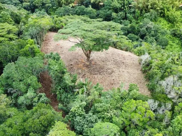 Terreno venda em Ubatuba