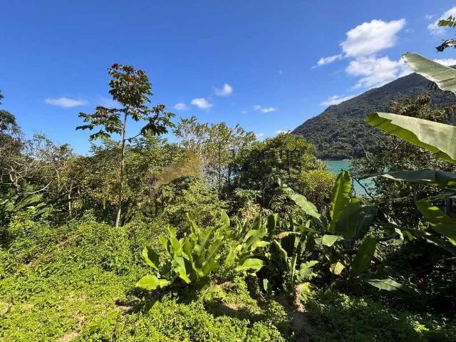 Terreno venda em Ubatuba