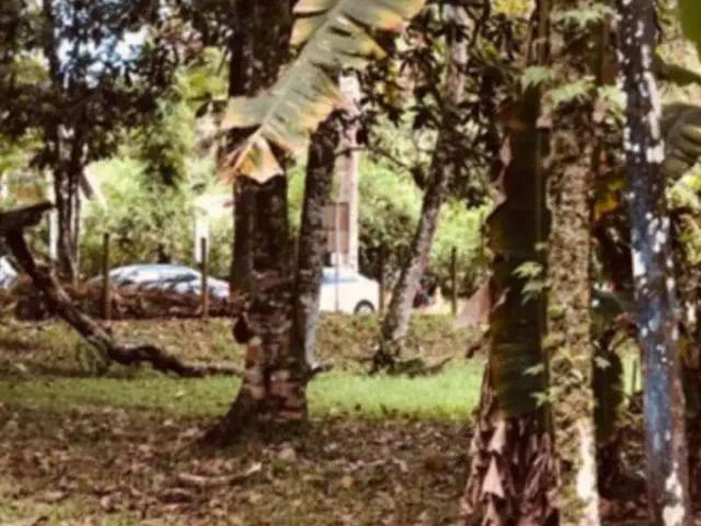 Terreno venda em Região Imediata de Caraguatatuba-Ubatuba-São Sebastião, Região Metropolitana do Vale do Paraíba e Litoral Norte