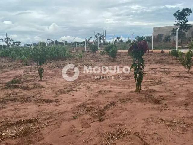 Terreno venda em Região Geográfica Imediata de Uberlândia, Oliveira Fortes