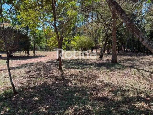 Terreno venda em Região Geográfica Imediata de Uberlândia, Oliveira Fortes