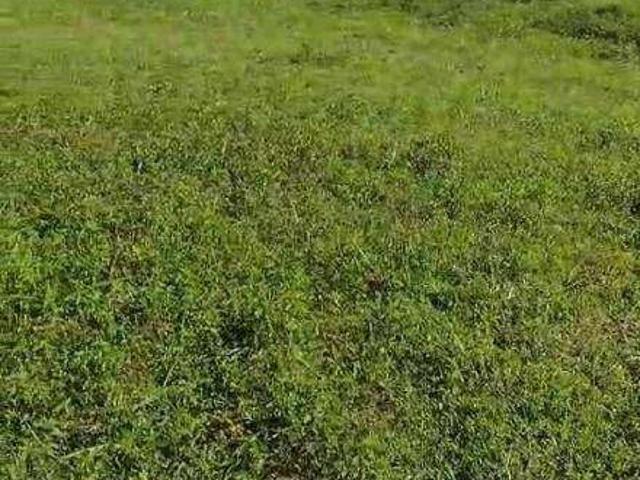 Terreno venda em União de Minas, Região Geográfica Intermediária de Uberaba