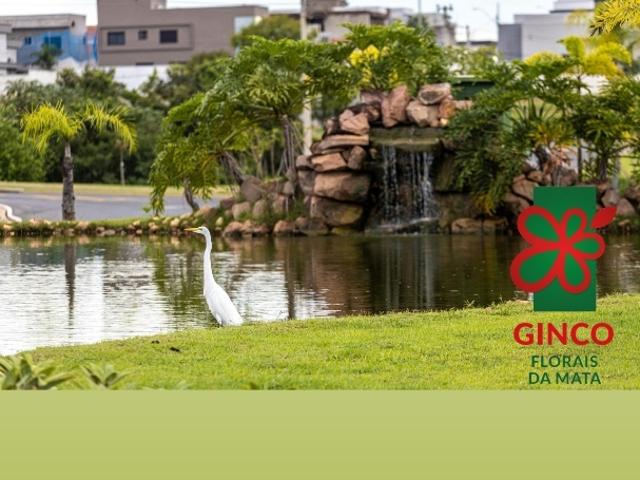 Terreno venda em Região Geográfica Imediata de Cuiabá, Região Metropolitana do Vale do Rio Cuiabá