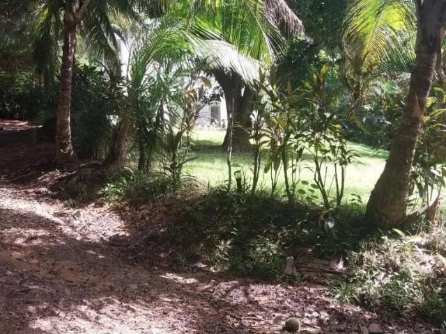 Terreno venda em Região Geográfica Imediata de Nazaré – Maragogipe, Região Metropolitana de Salvador