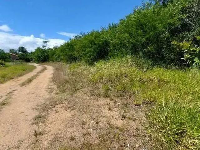 Terreno venda em Região Geográfica Imediata de Porto Alegre, Região Metropolitana de Porto Alegre