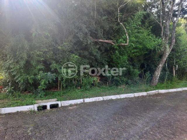 Terreno venda em Região Geográfica Imediata de Porto Alegre, Região Metropolitana de Porto Alegre