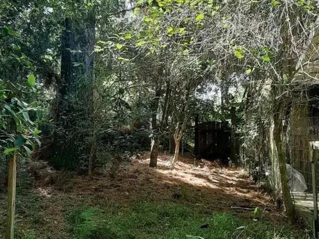 Terreno venda em Região Geográfica Imediata de Porto Alegre, Região Metropolitana de Porto Alegre