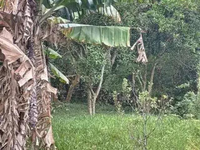 Terreno venda em Condomínio Cantegril, Viamão