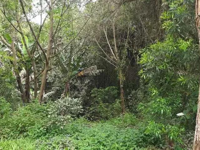 Terreno venda em Região Geográfica Imediata de Porto Alegre, Região Metropolitana de Porto Alegre