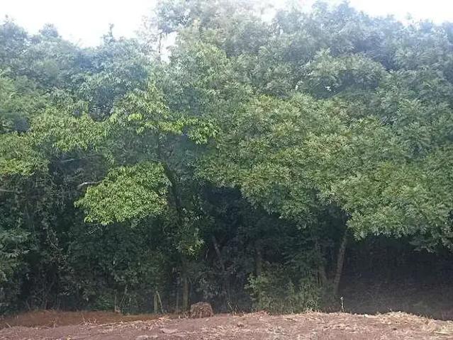 Terreno venda em Condomínio Cantegril, Viamão